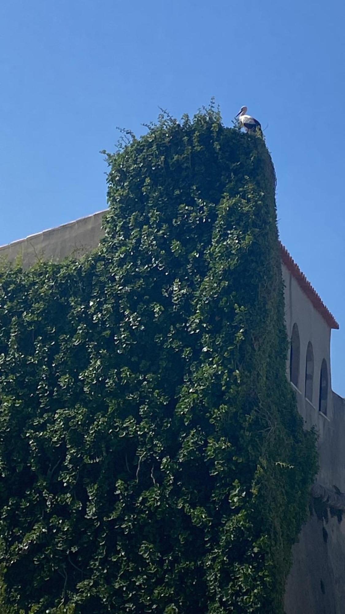 Casa Das Marias Vila Nova de Milfontes Exteriér fotografie